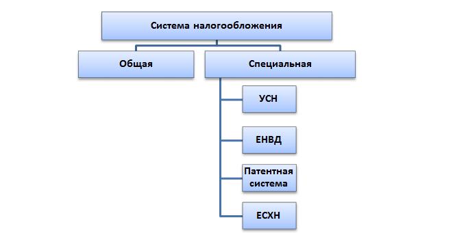 Какие существуют виды налогообложения для ООО